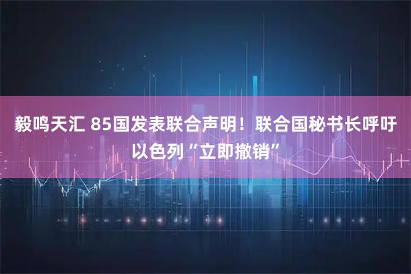 毅鸣天汇 85国发表联合声明！联合国秘书长呼吁以色列“立即撤销”
