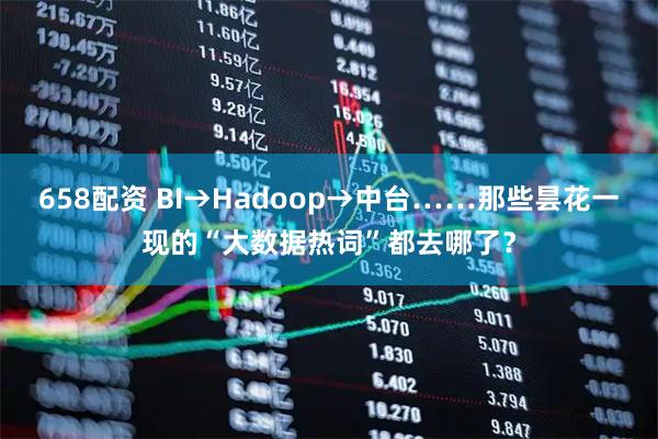 658配资 BI→Hadoop→中台……那些昙花一现的“大数据热词”都去哪了？