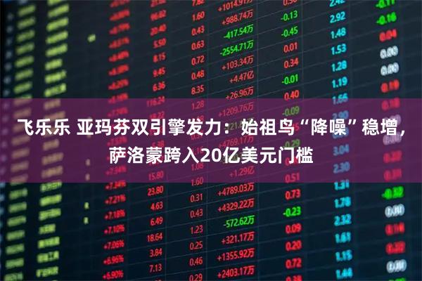 飞乐乐 亚玛芬双引擎发力：始祖鸟“降噪”稳增，萨洛蒙跨入20亿美元门槛