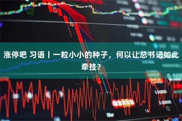 涨停吧 习语丨一粒小小的种子，何以让总书记如此牵挂？