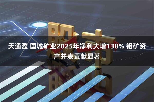 天通盈 国城矿业2025年净利大增138% 钼矿资产并表贡献显著
