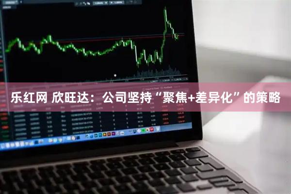 乐红网 欣旺达：公司坚持“聚焦+差异化”的策略