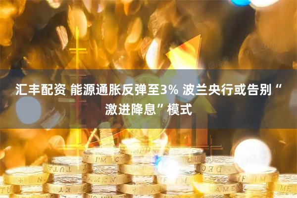 汇丰配资 能源通胀反弹至3% 波兰央行或告别“激进降息”模式