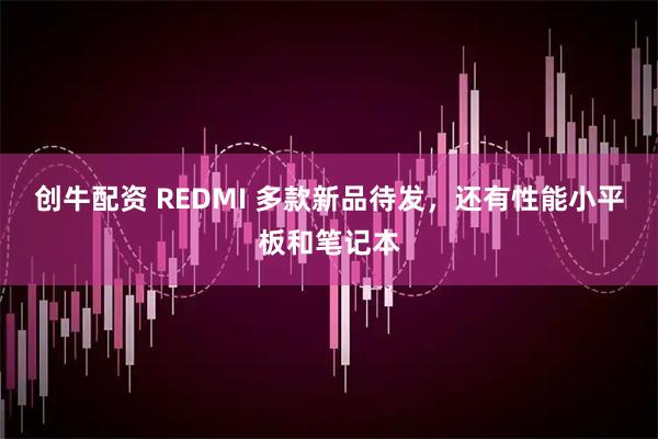 创牛配资 REDMI 多款新品待发，还有性能小平板和笔记本